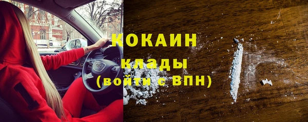ешки Няндома