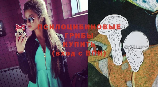 a pvp Нязепетровск