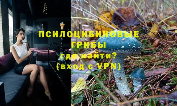 молекула духа Нягань