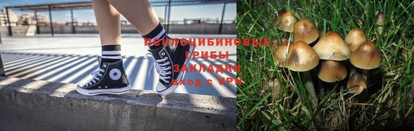 a pvp Нязепетровск