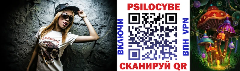 Псилоцибиновые грибы Psilocybe Торжок
