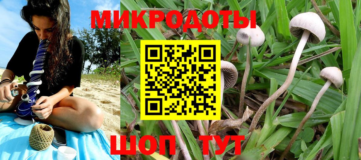 Торжок  Галлюциногенные грибы MAGIC MUSHROOMS  Вход с VPN 